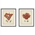 black bamboo frame artwork antique coral art set 01 LS PT1881 1