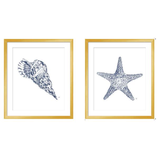 gold frame art sea shell star fish blue white acrylic 02 LS BQPT1739