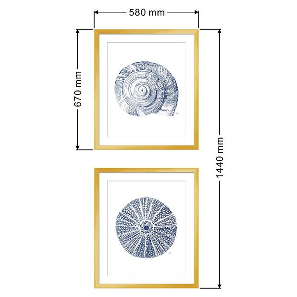 gold frame art sea snail urchin blue white acrylic 03 LS BQPT1741 portrait dimensions