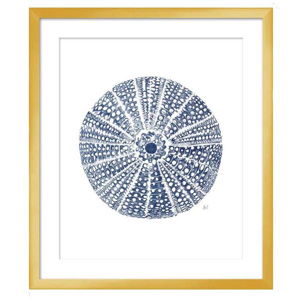 gold frame art sea snail urchin blue white acrylic 03 LS BQPT1741 urchin image 2
