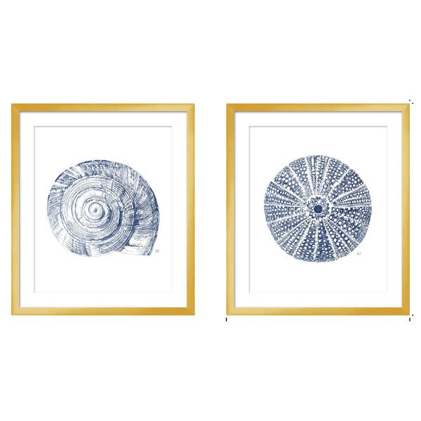 gold frame art sea snail urchin blue white acrylic 03 LS BQPT1741