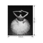 lux street ballerina 2 black and white special artwork crystal SWH00451 sparkle diamonds dimensions