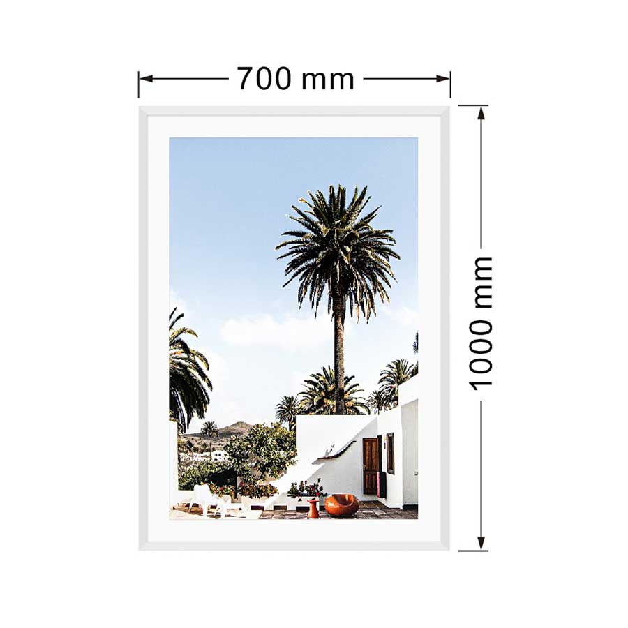 lux street canyon castle la vibe white house palm tree summer days white frame SL ID0025 dimensions