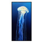 lux street jellyfish light up box art touch sensor dimmable LS DH0017 main image