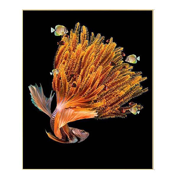 silver frame hyperealism art siamese fighting fish gold LS BQPT1263